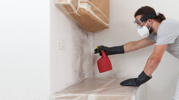 Professional Attic Mold Remediation technician working in Mount Joy, PA