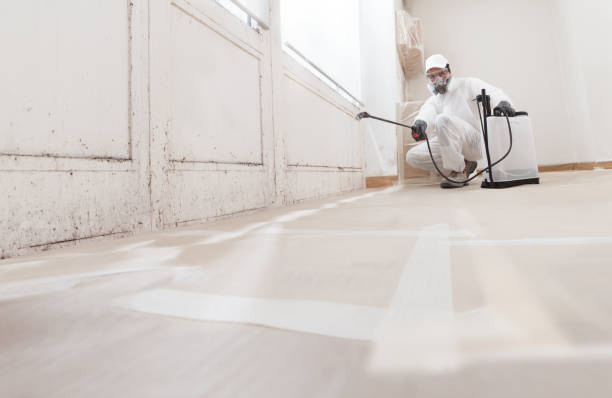 24/7 Emergency Attic Mold Remediation experts in Mount Joy, PA